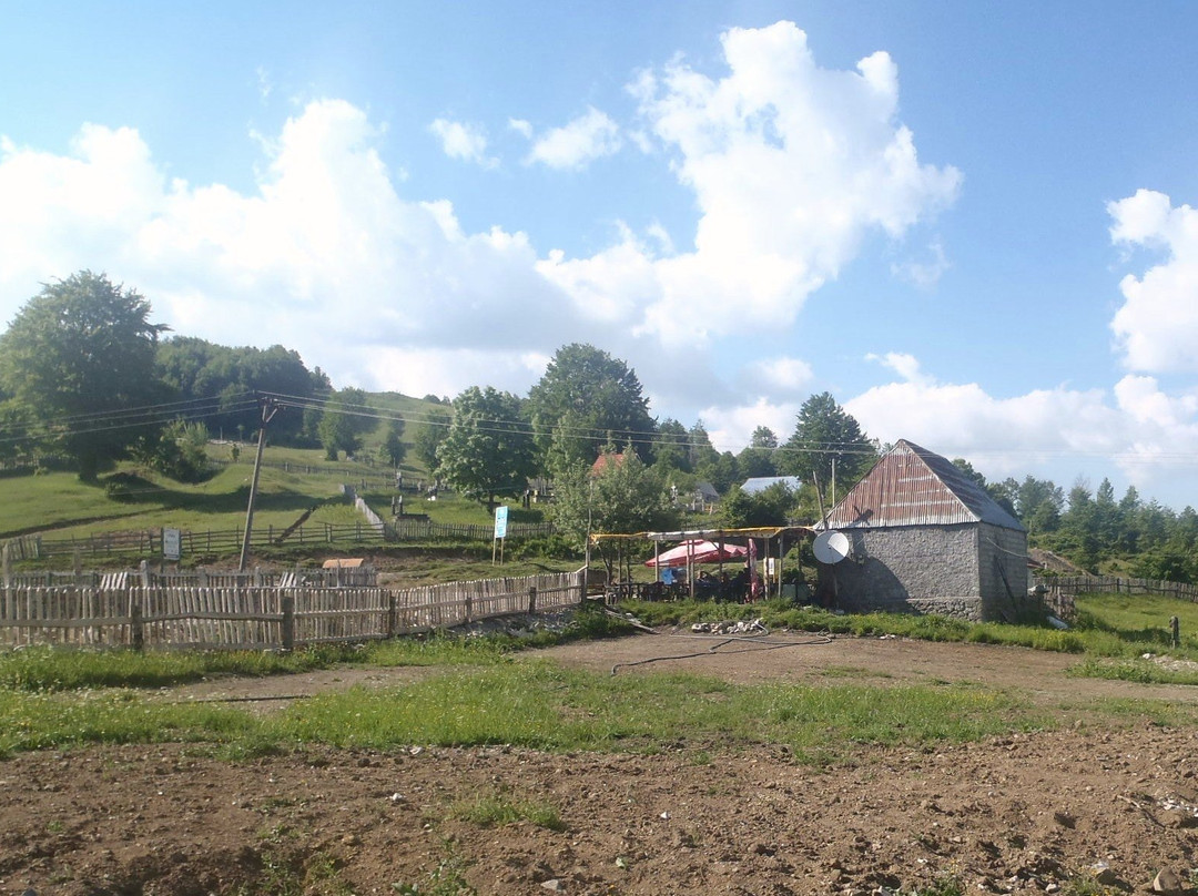 Bujtina Lepushe