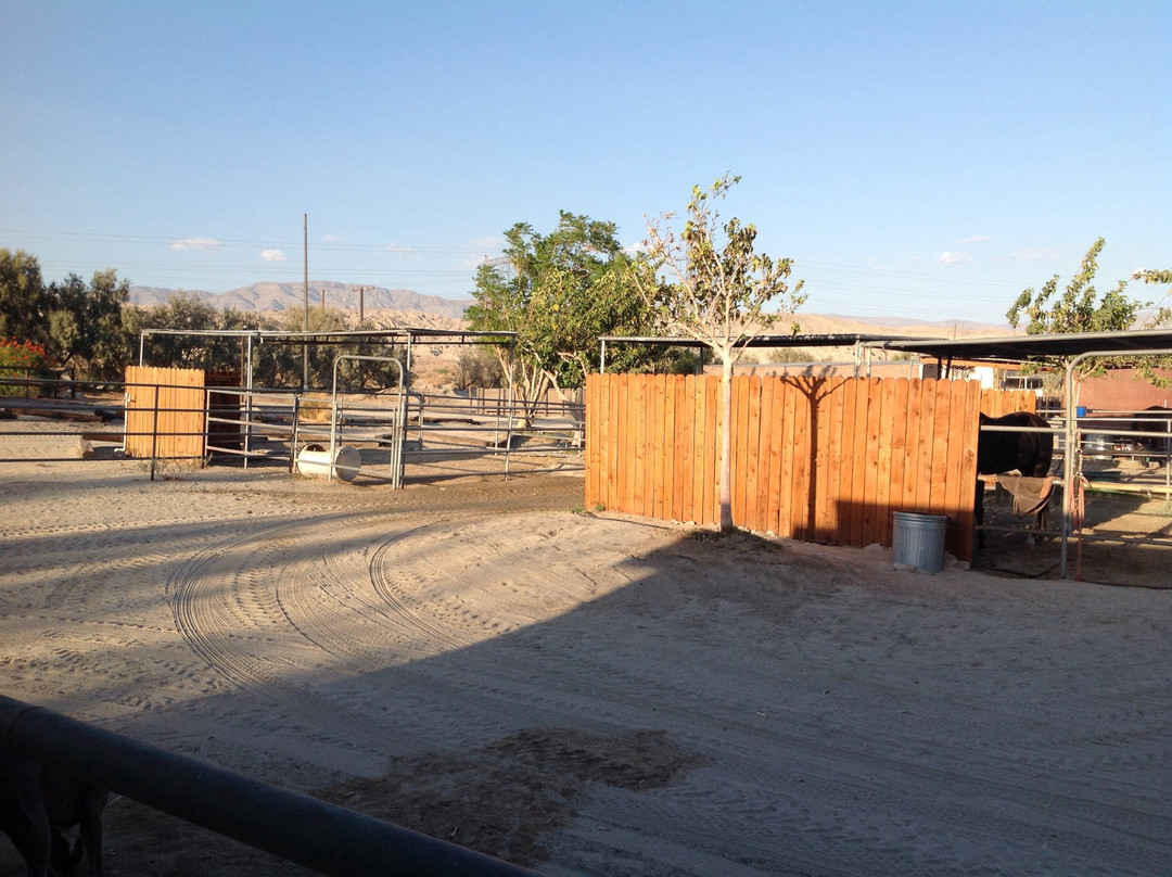 Ivey Ranch Equestrian Center-Thousand Palms必去景点