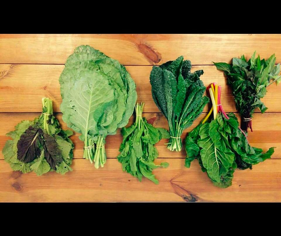 Ground Floor Farm-斯图尔特必去景点