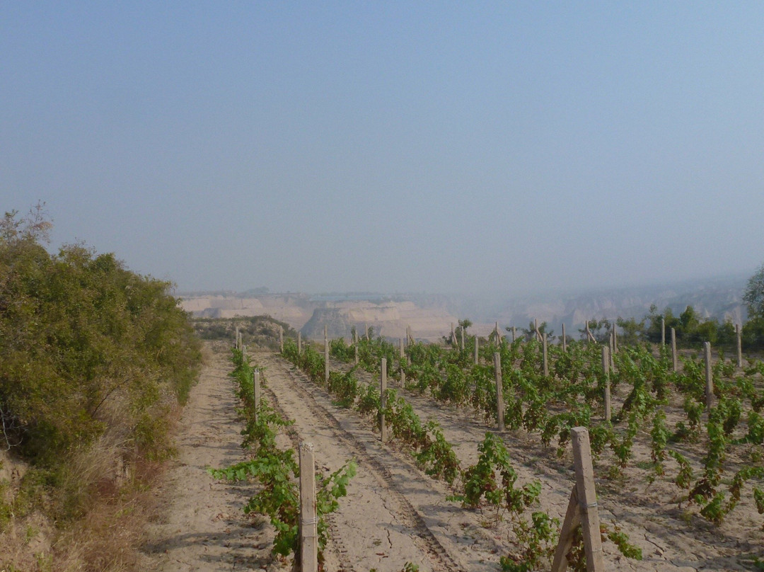 怡园酒庄-太谷县必去景点