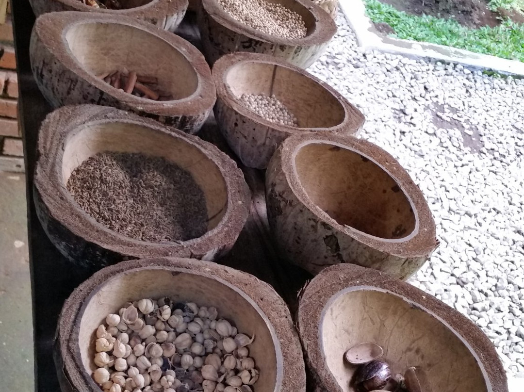 Laksmi Bali Agro Tourism-吉安雅必去景点