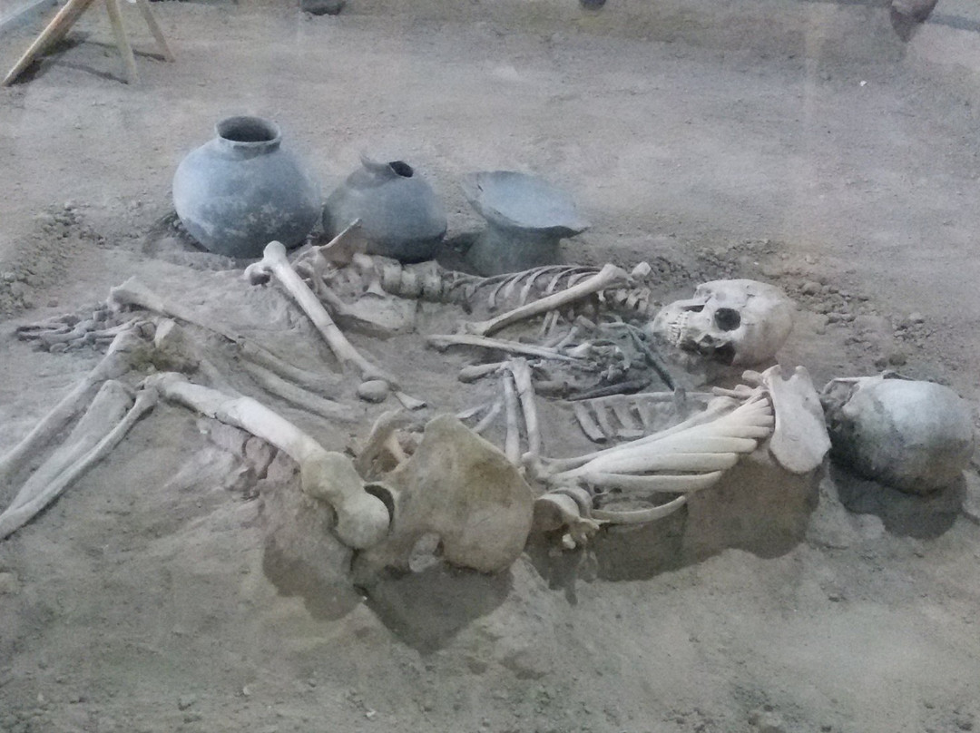 Iron Age Museum-Tabriz必去景点