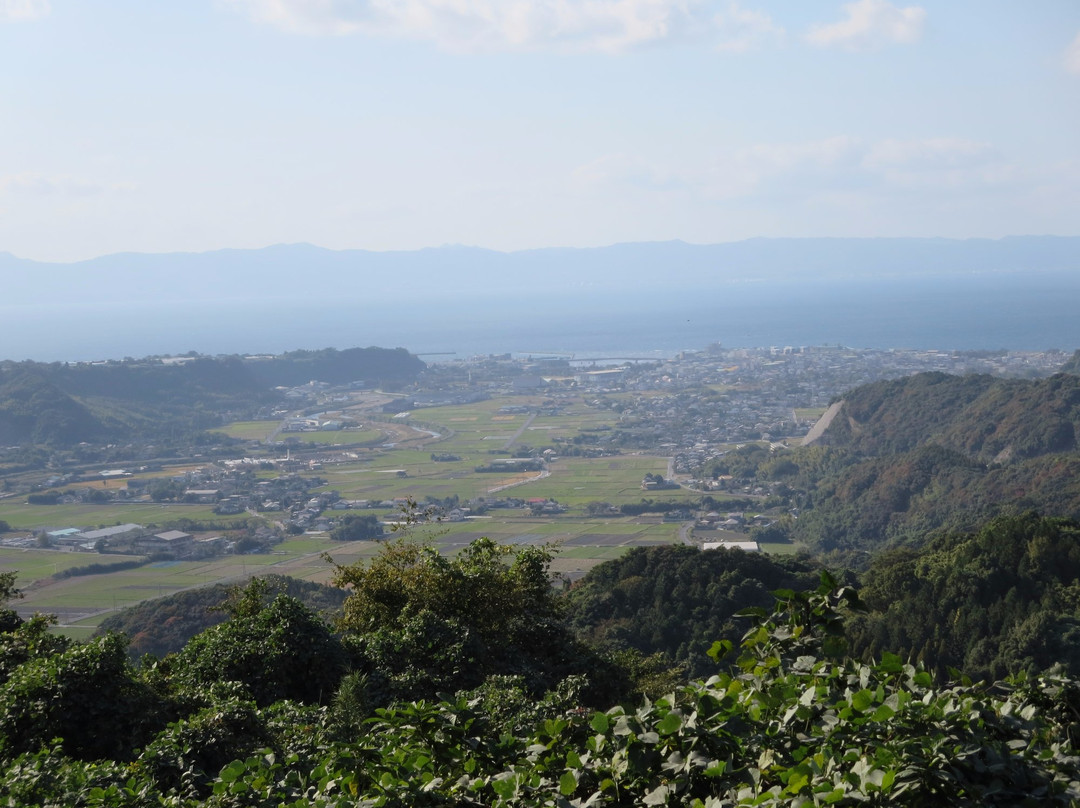 Tarumizu Sembon Ginkgo Garden-垂水市必去景点
