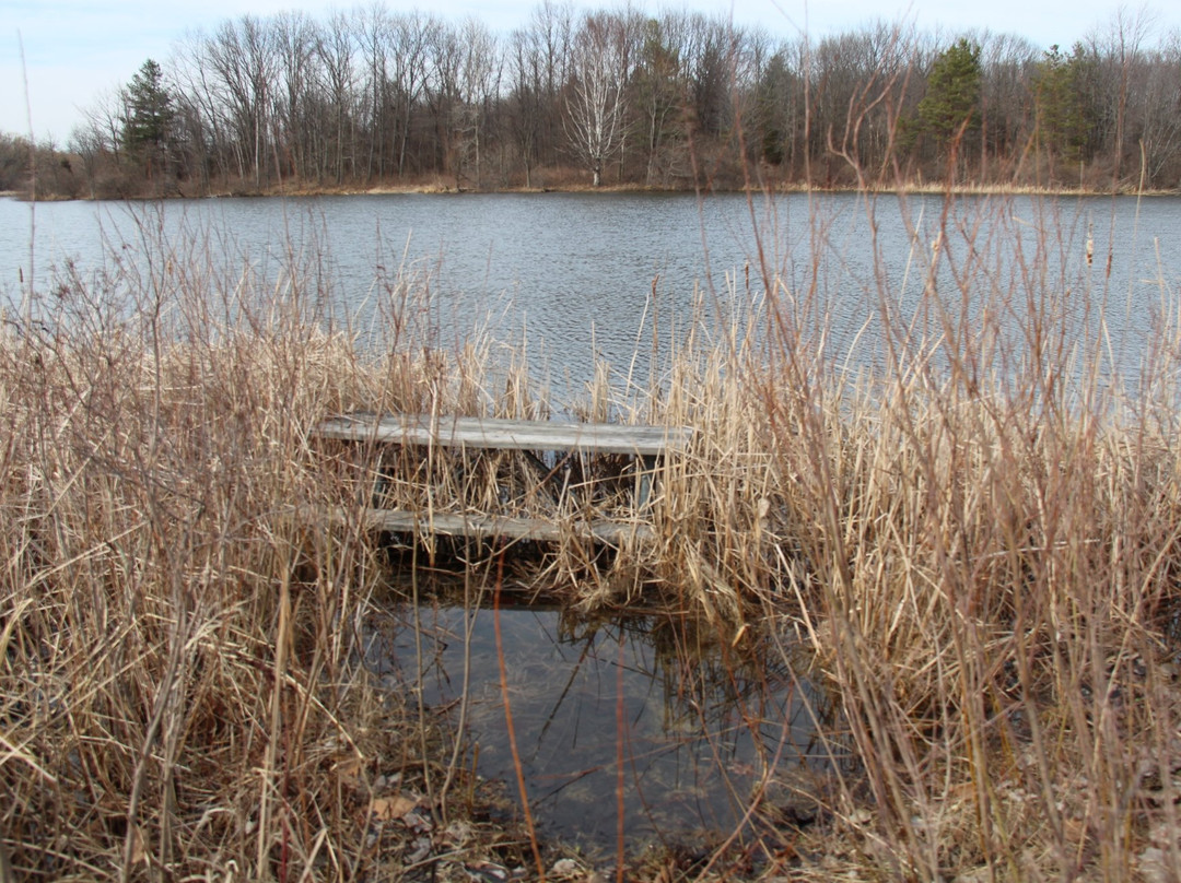 Stony Creek Metropark景点图片