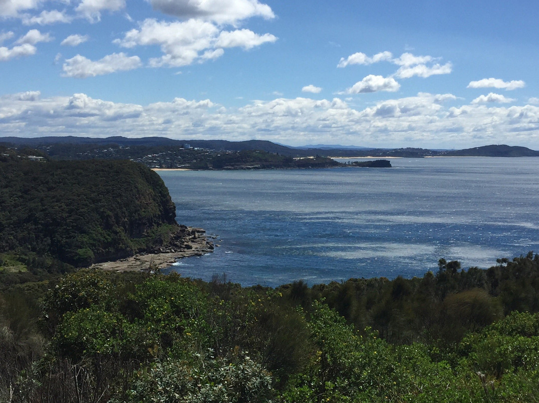 Captain Cook Lookout-Copacabana必去景点