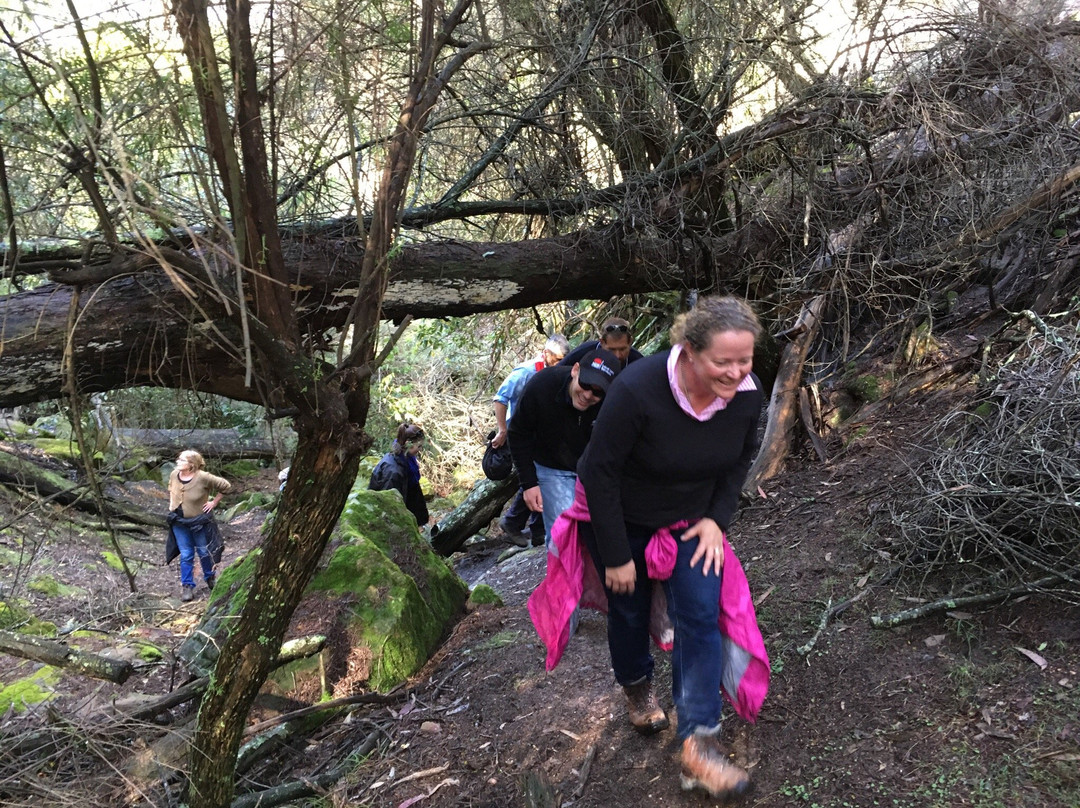 Ferntree Gully-Rylstone必去景点