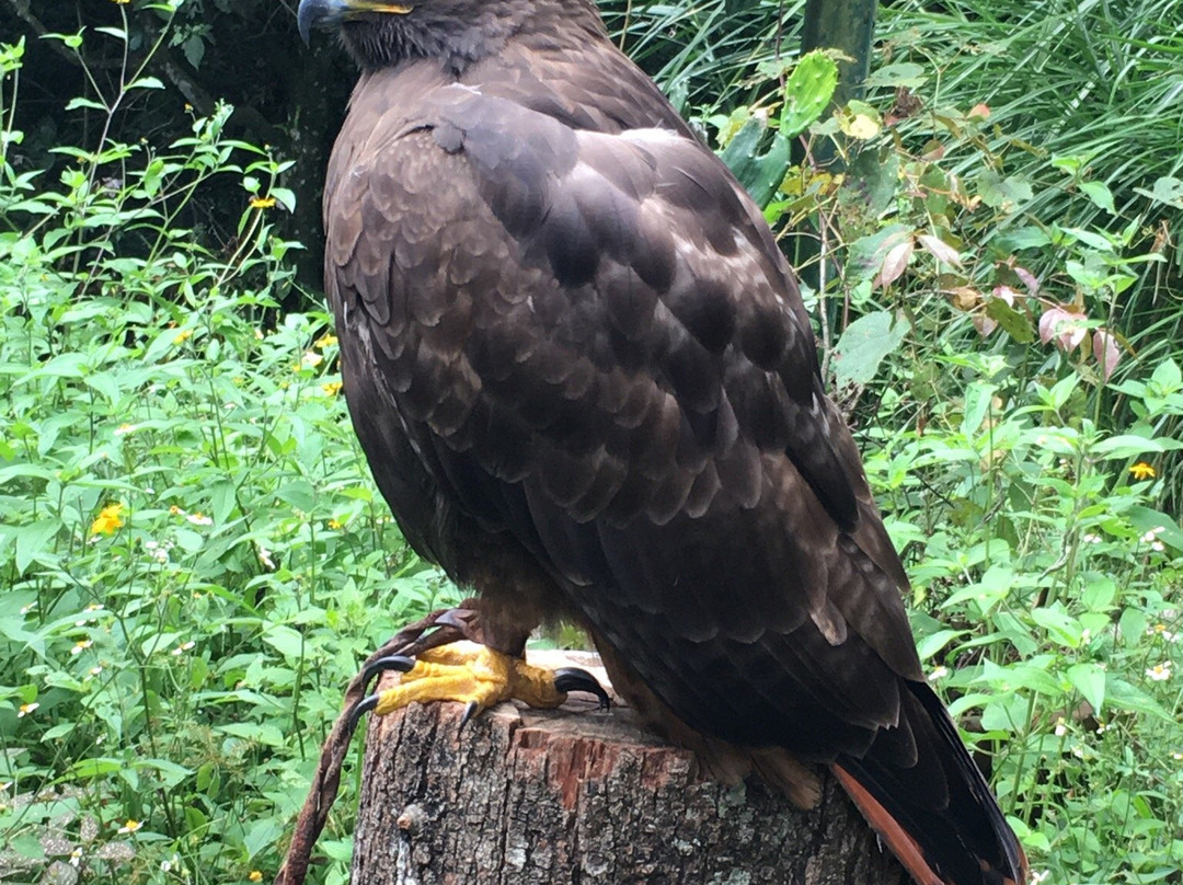 Macuiltepec-哈拉帕必去景点