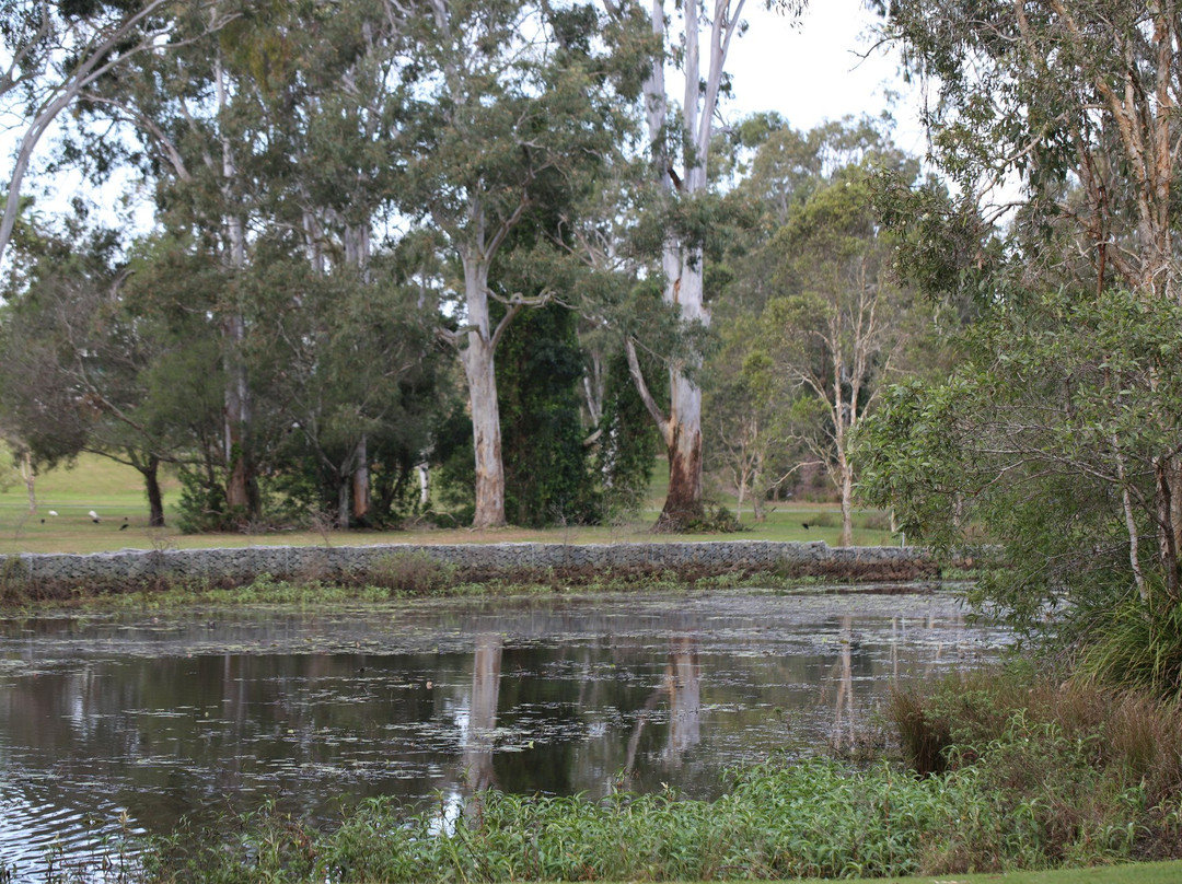 Capalaba Regional Park景点图片