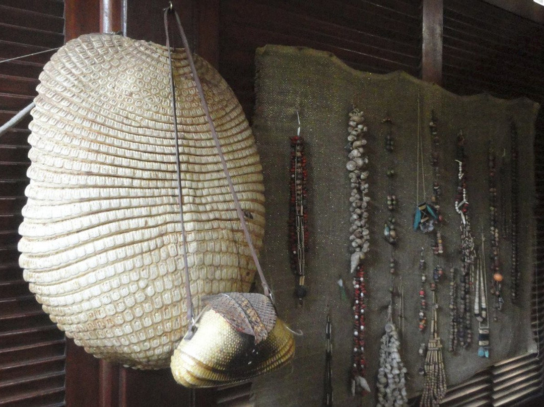 House of Peoples of the Forest-Rio Branco必去景点