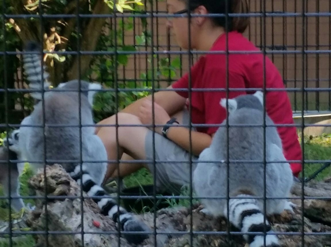 Scovill Zoo-迪凯特必去景点