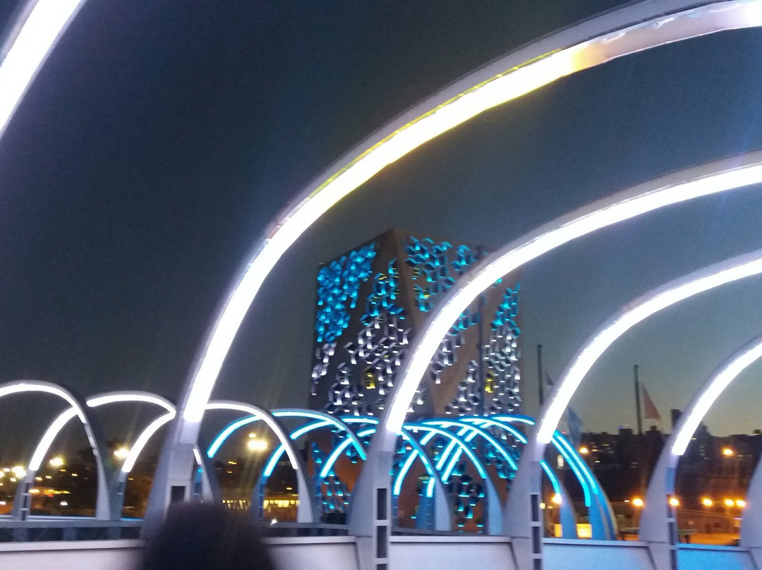 Puente del Bicentenario景点图片