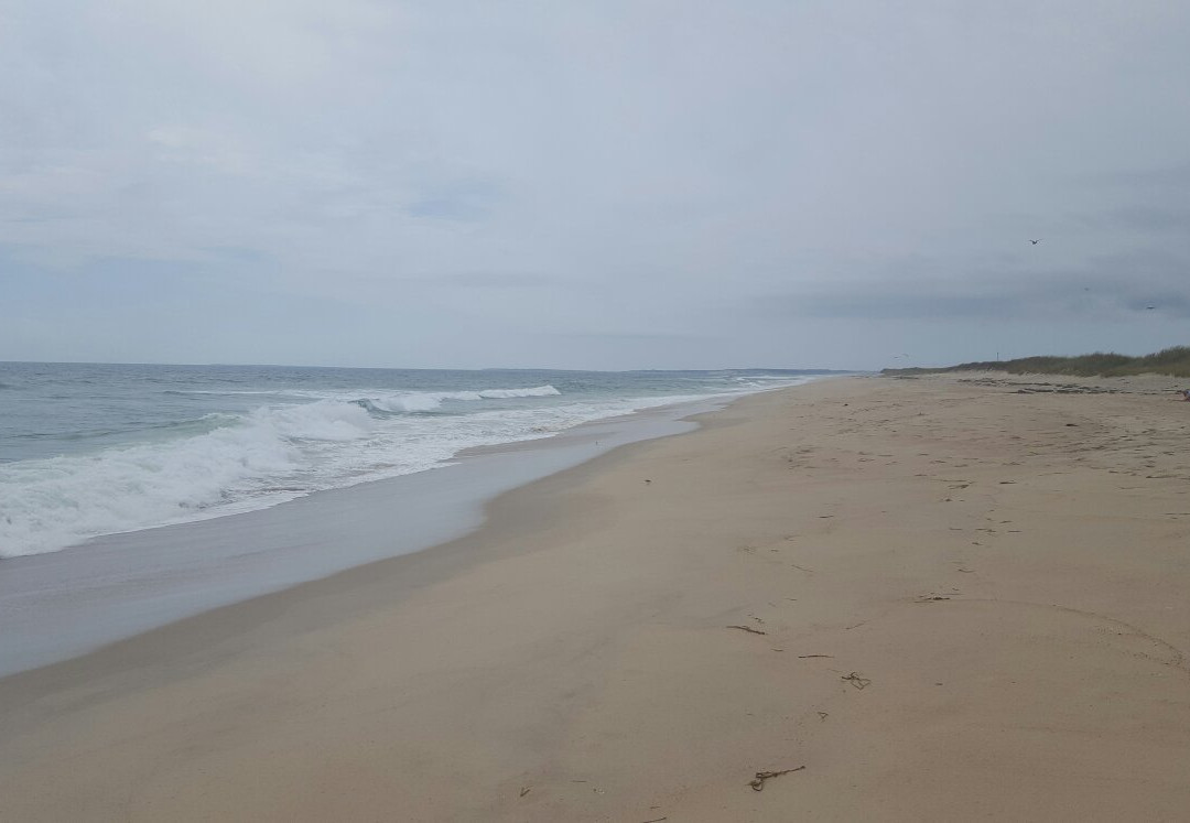Long Point Wildlife Refuge景点图片