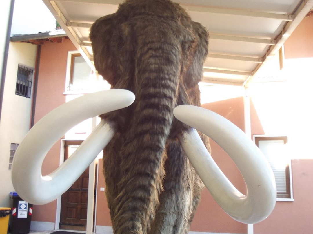 Museo di Storia Naturale-Chies d'Alpago必去景点