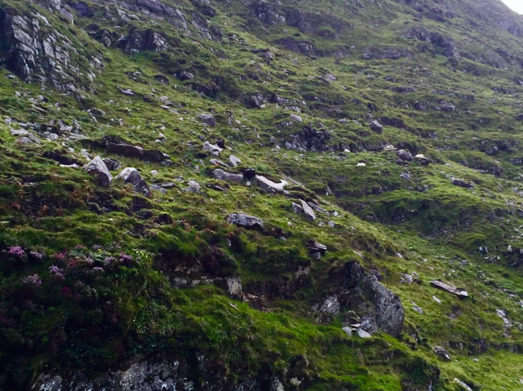 Ballaghbeama Gap景点图片