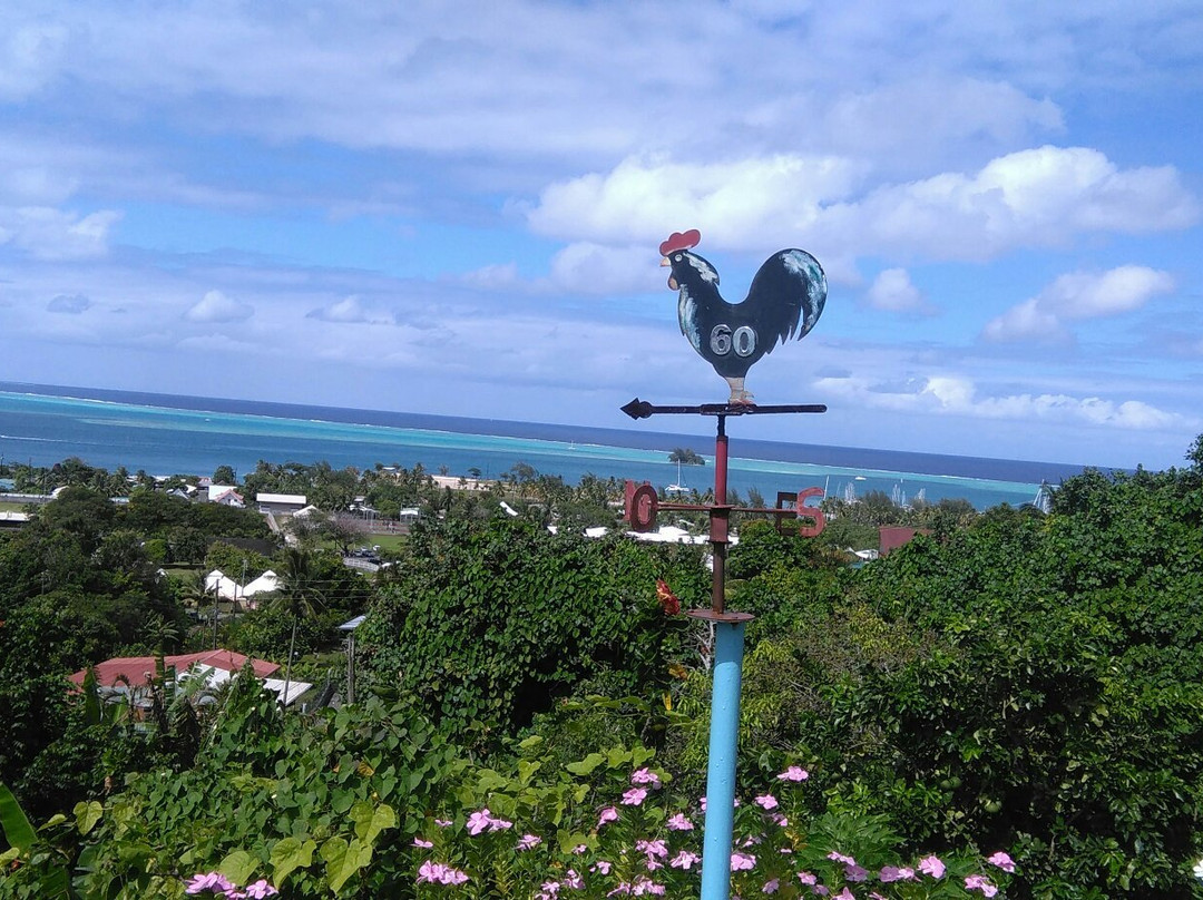 Bellevue Raiatea主图