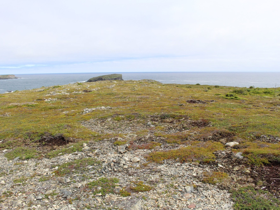 Maberly to Little Catalina Trail景点图片