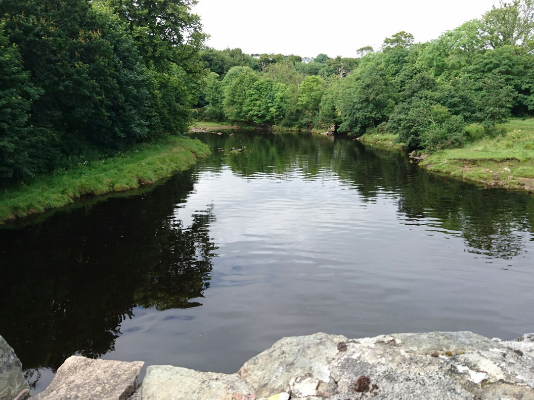 Swan Park-Buncrana必去景点