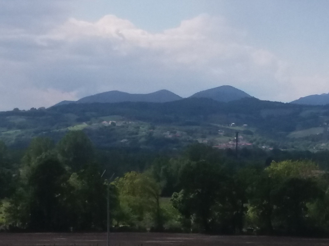 Azienda Agricola Meoli景点图片