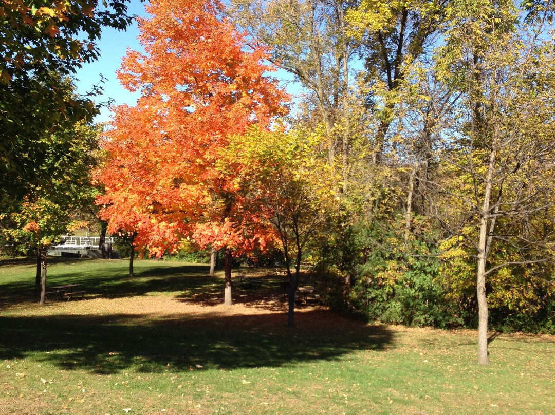 Hyland Lake Park Reserve-布卢明顿必去景点