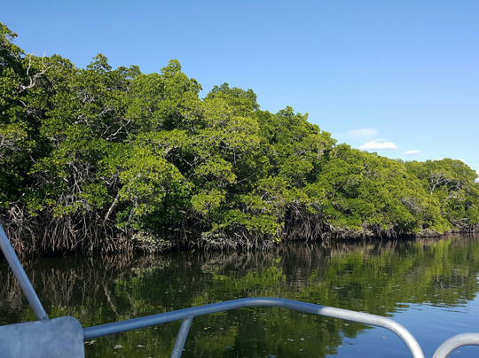 Cairns Boat Hire-凯恩斯必去景点