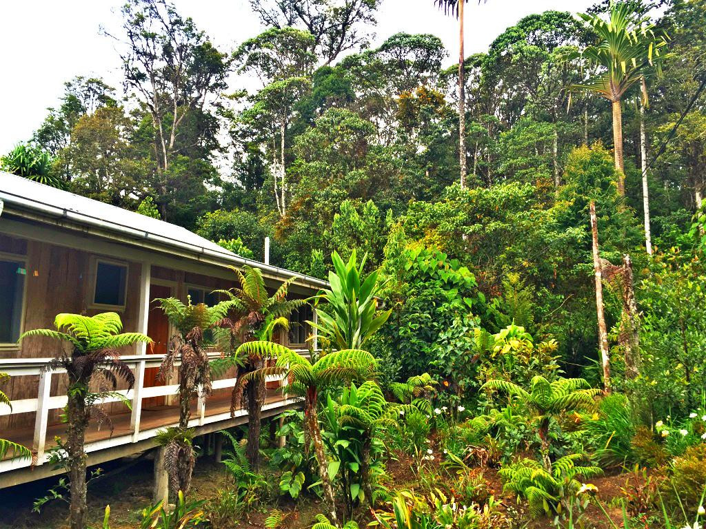 Makara Bird View Lodge