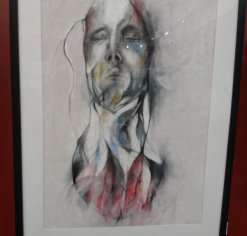 Royal South Australian Society of Arts Gallery景点图片