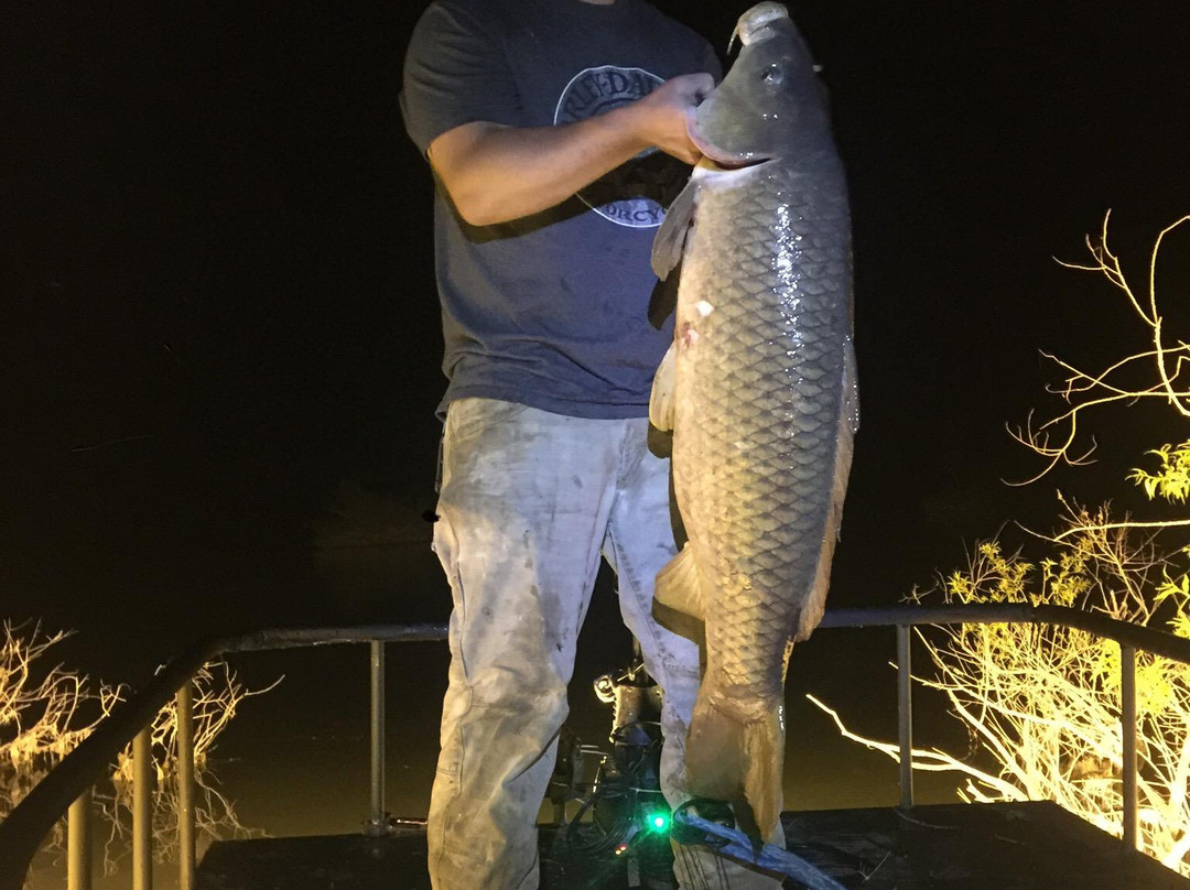 Nocturnal Addiction Bowfishing景点图片