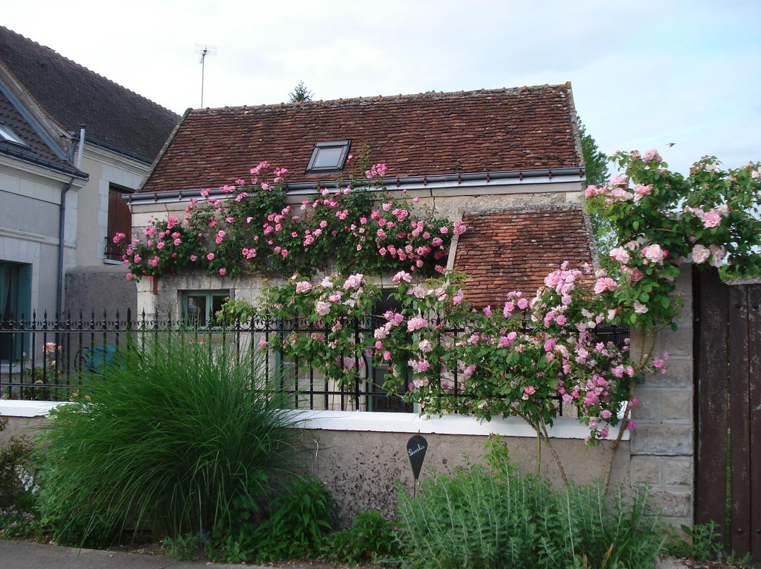 Chédigny - Jardin Remarquable景点图片