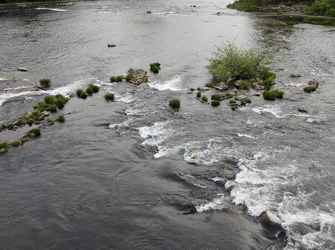 Willamette River-尤金必去景点