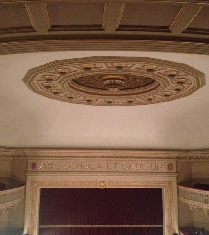 Teatro Consorziale di Budrio景点图片