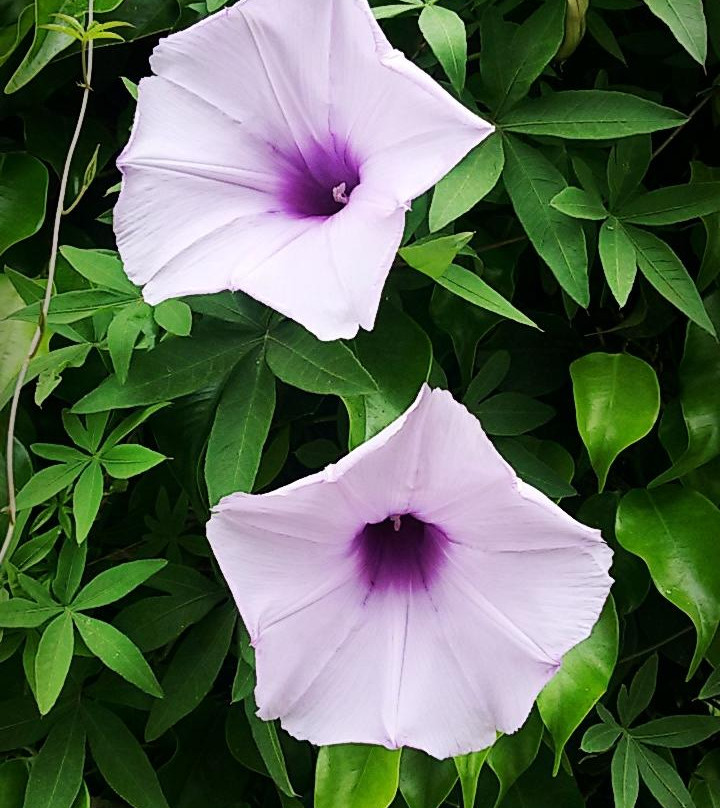 Playa Santa Maria del Mar-Santa Maria Del Mar必去景点