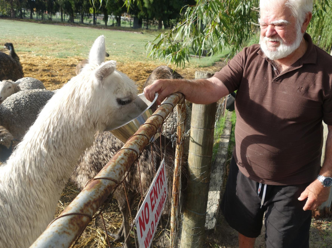 Enderslie House主图