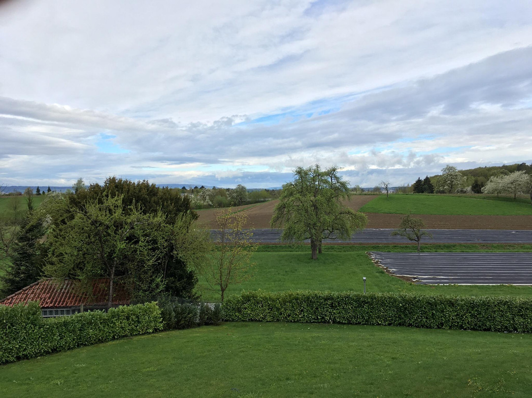 Hotel Kurallee主图