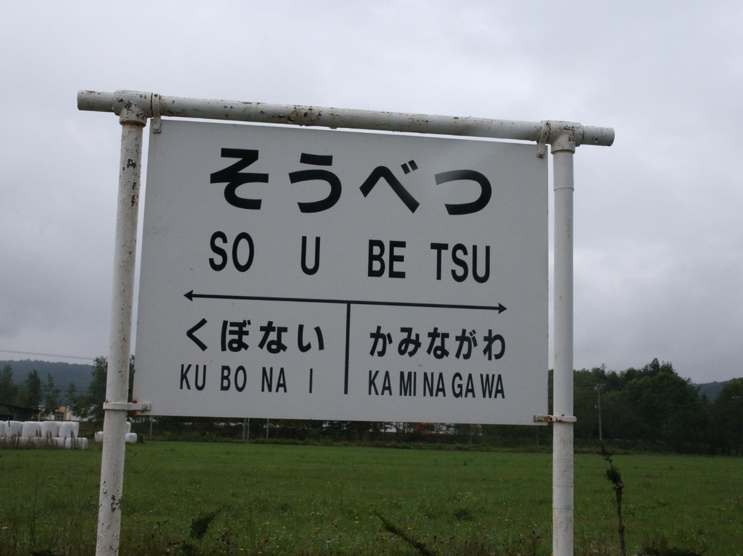 Yokozuna Kitanoumi Memorial Hall-壮瞥町必去景点