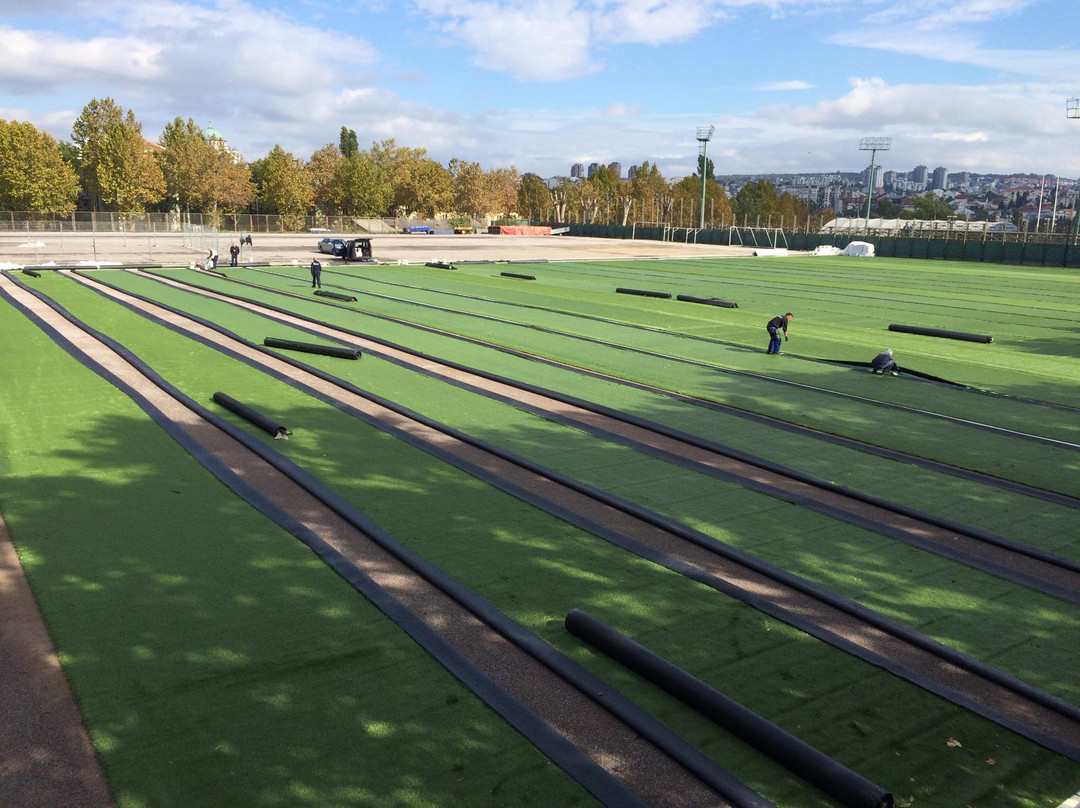 Savski Venac旅游景点-Partizan Stadium
