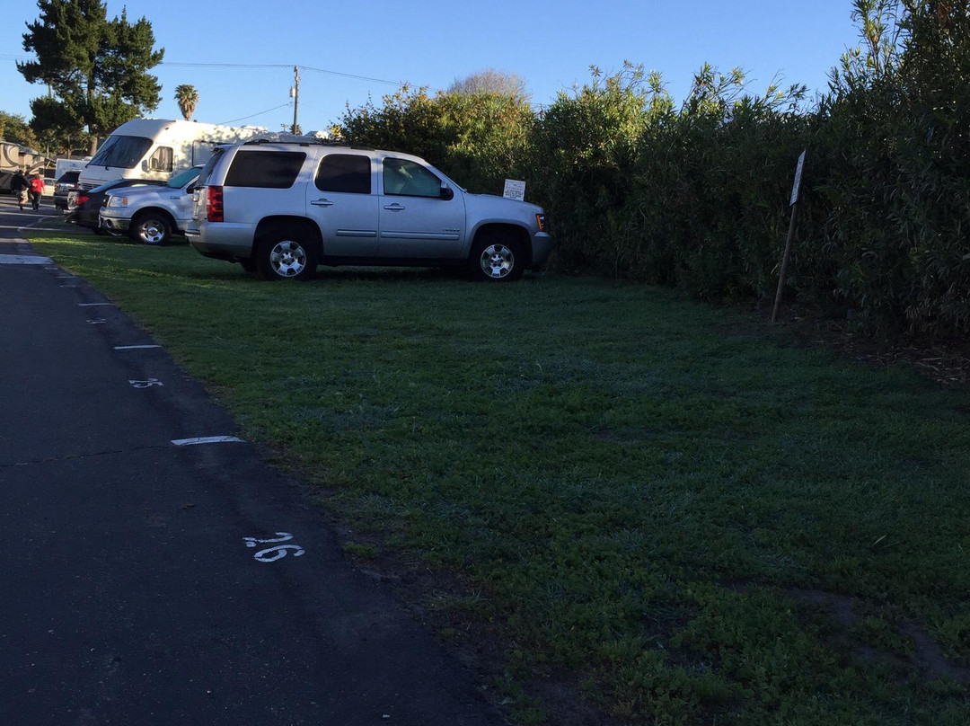 Pismo Sands Rv Park