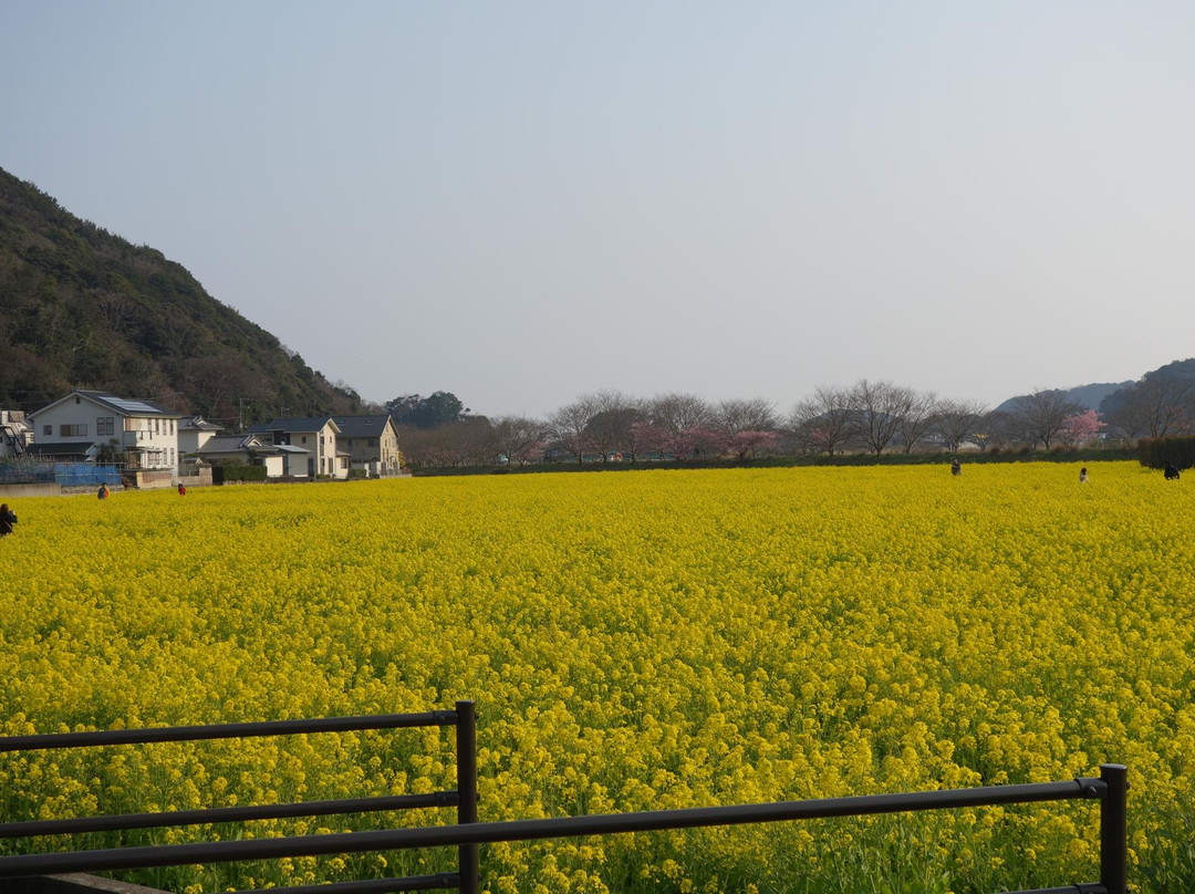 Hino Broccolini Garden景点图片