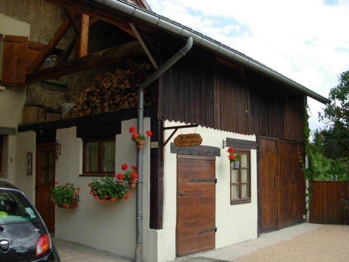 Maison des Chiens Verts-官方