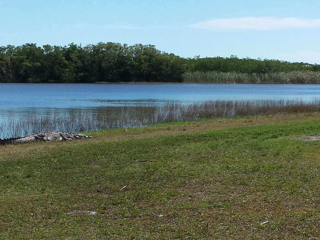 Nine Mile Pond Canoe Trail-大沼泽国家公园必去景点