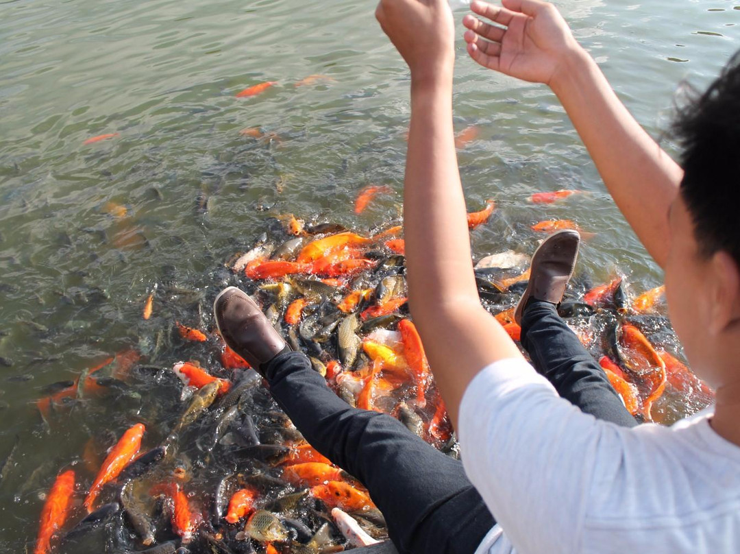 Tabek Gadang-Agam必去景点