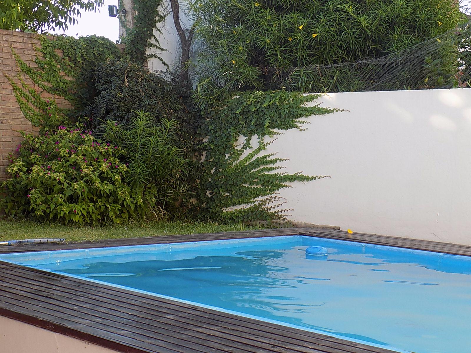 Brendab Suites Ejecutivas-泳池