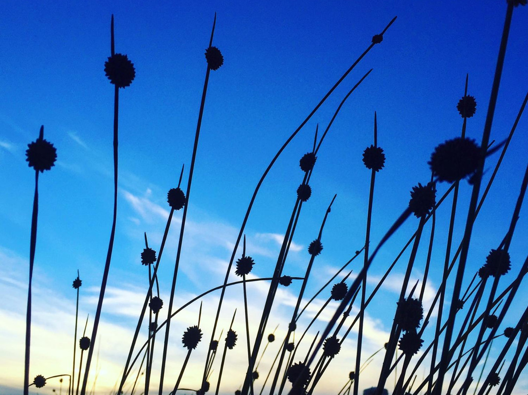 La Perouse Museum-La Perouse必去景点