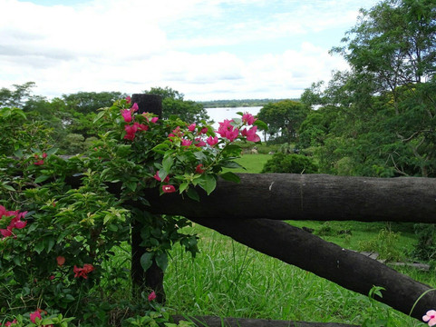 Hotel Turismo de Ayolas主图