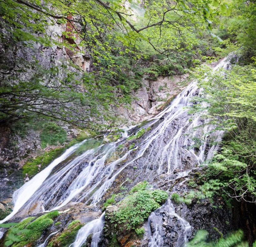 Ogura no Taki Fall景点图片