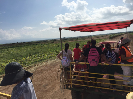 Aloun Farms-火奴鲁鲁必去景点