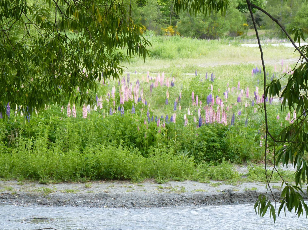 Bush Creek Trail景点图片