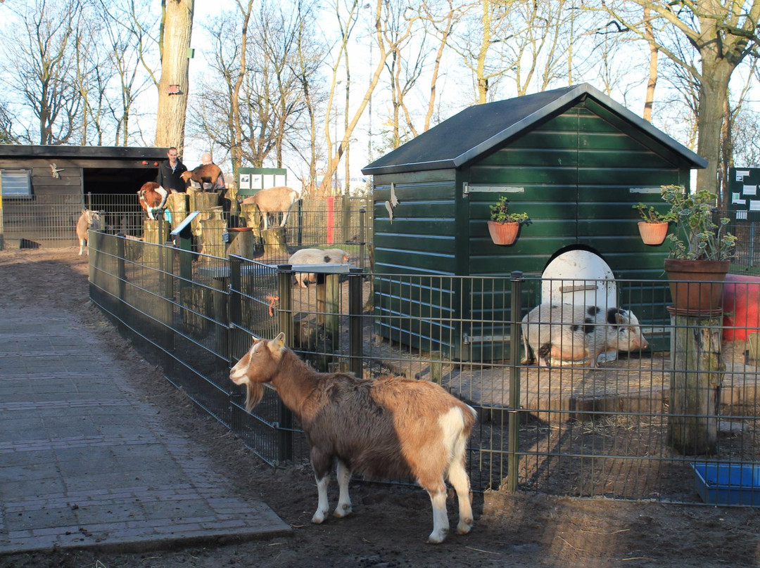 Kinderboerderij Velserbeek景点图片