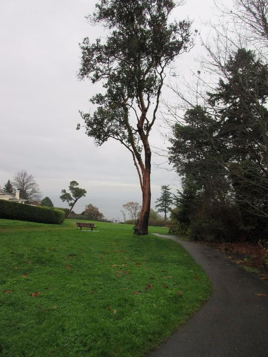Arbutus Cove Park景点图片
