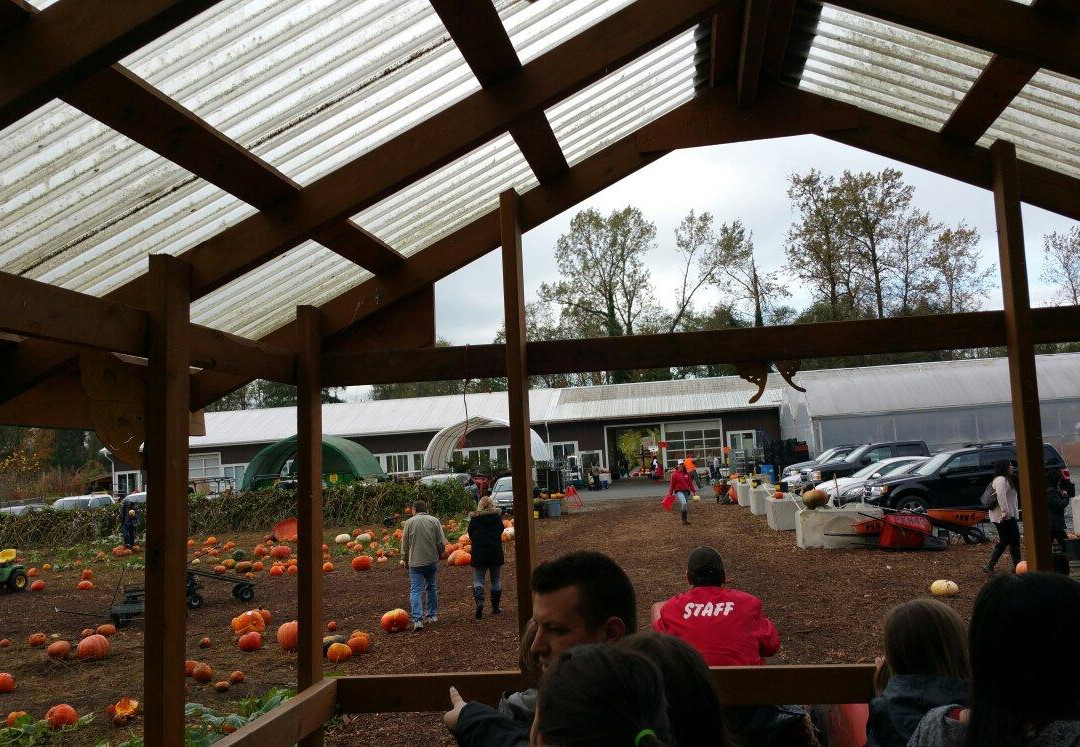 Port Kells Nurseries-素里必去景点