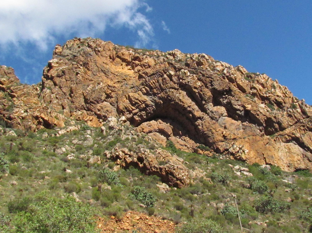 Ladismith Manor主图